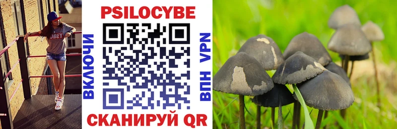 цена   Узловая  mega онион  Галлюциногенные грибы Magic Shrooms 