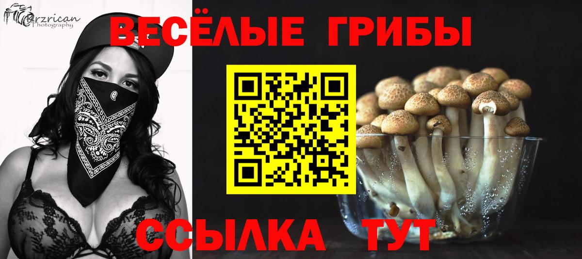 Псилоцибиновые грибы мицелий  Вход с VPN  Узловая 