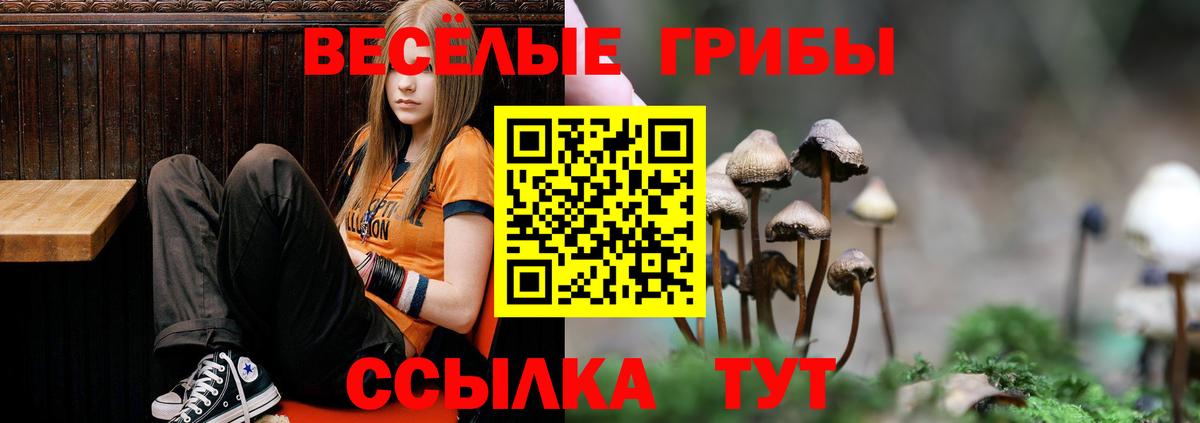 Галлюциногенные грибы GOLDEN TEACHER Узловая